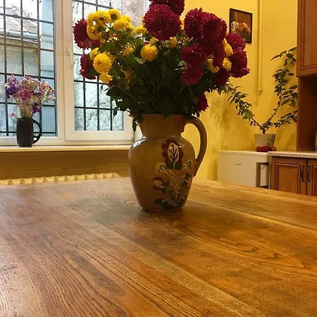 On Valova 9 * 利沃夫