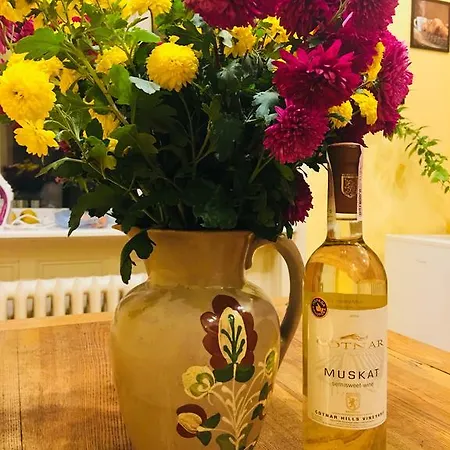 On Valova 9 * Leópolis