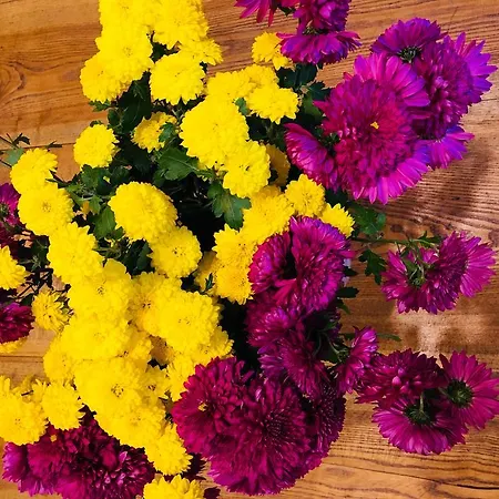 Apartamento On Valova 9 *