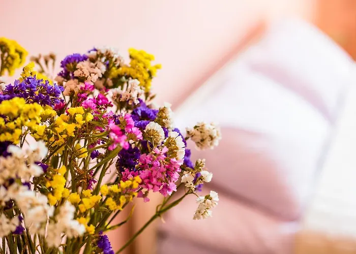 On Valova 9 شقة *