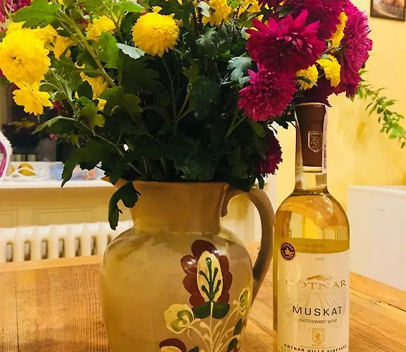 On Valova 9 * إلفيف