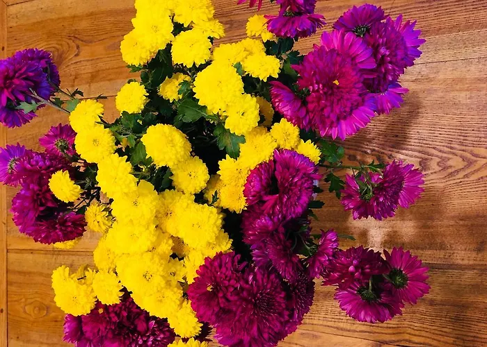 شقة On Valova 9 *