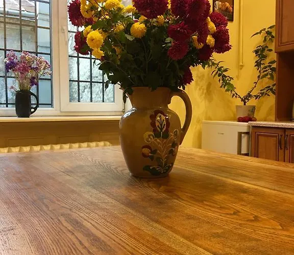 On Valova 9 * إلفيف